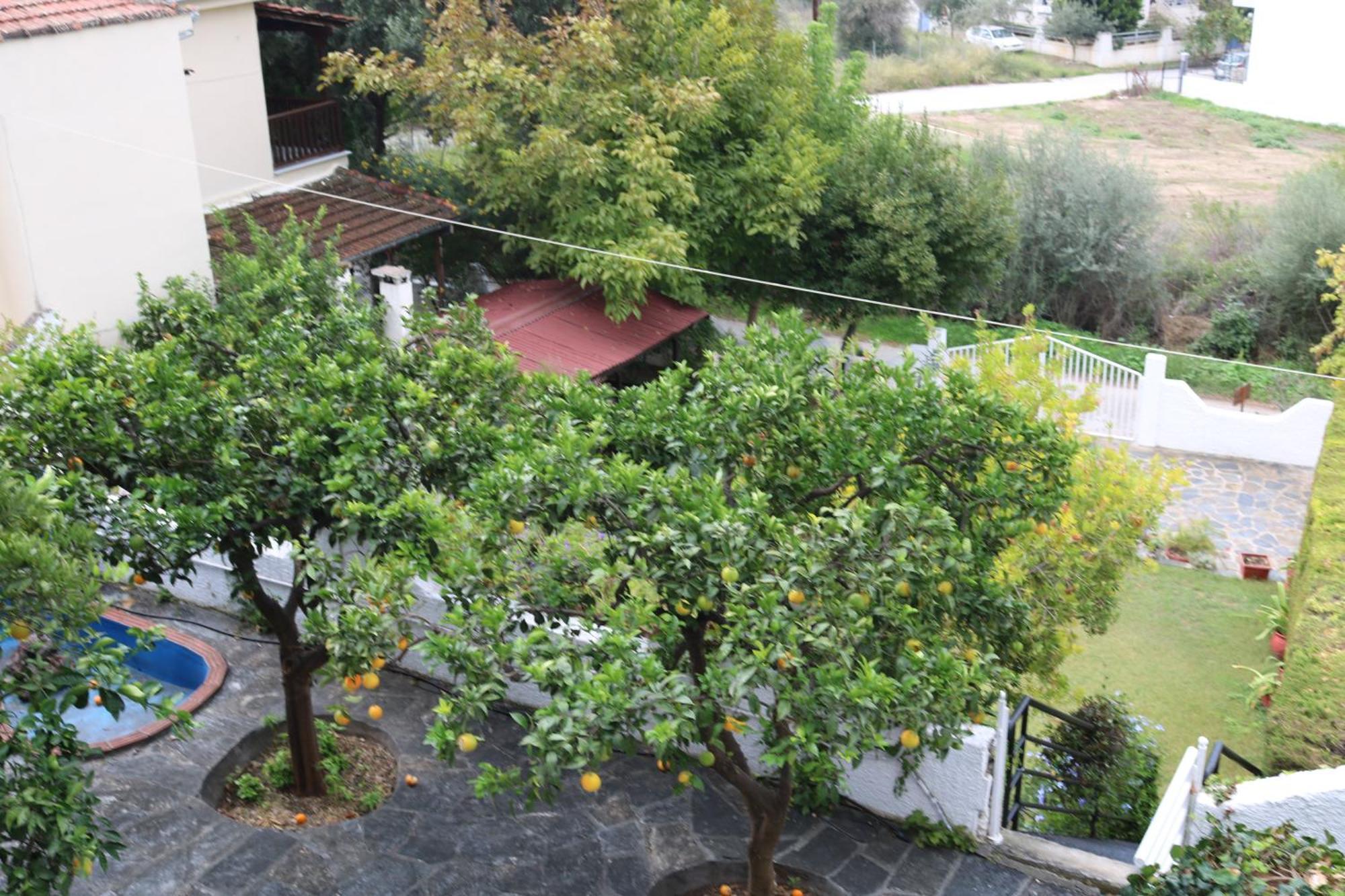 Villa Sofia Marathos  ภายนอก รูปภาพ