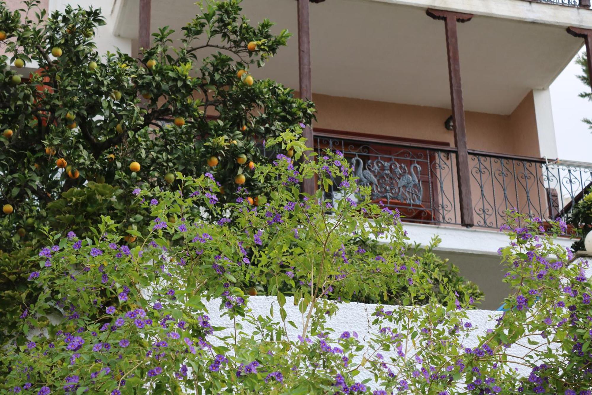 Villa Sofia Marathos  ภายนอก รูปภาพ