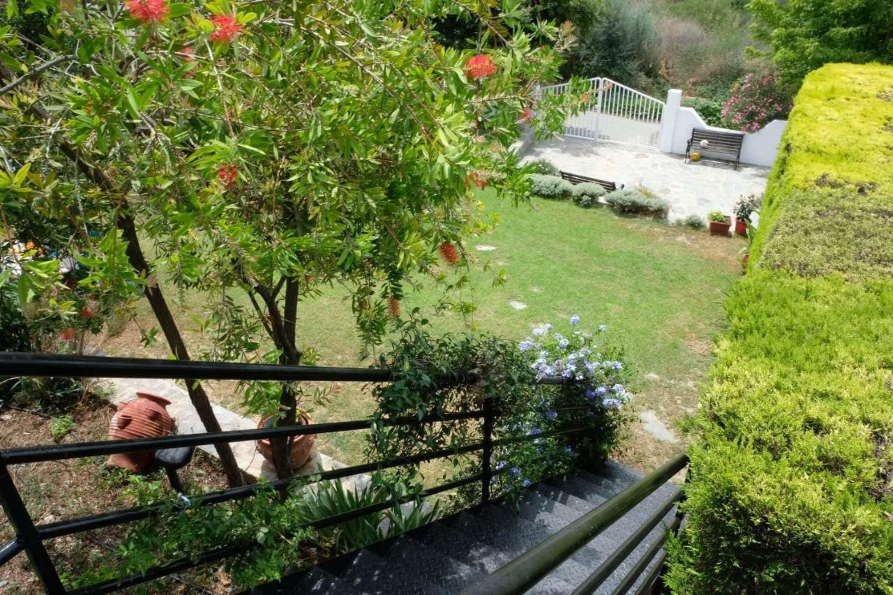 Villa Sofia Marathos  ภายนอก รูปภาพ