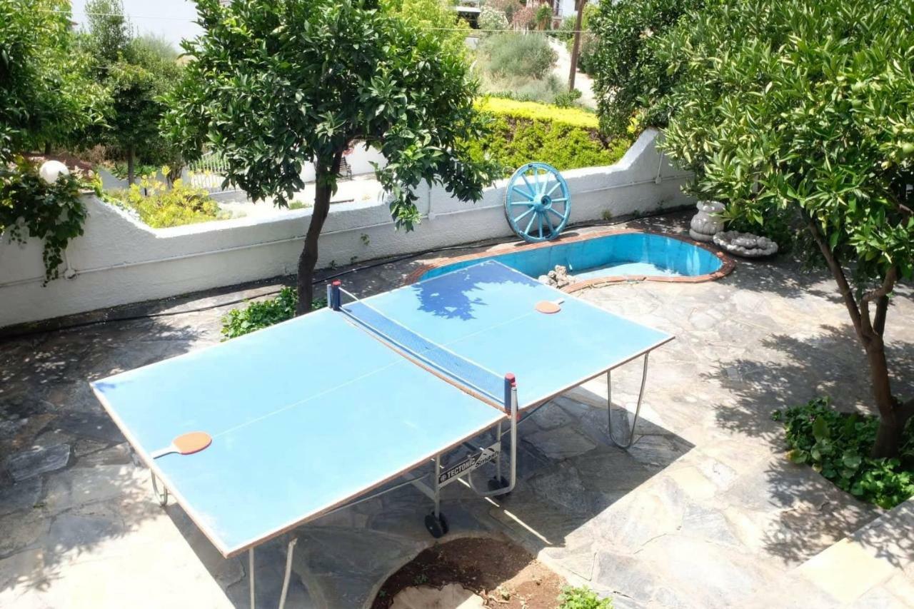 Villa Sofia Marathos  ภายนอก รูปภาพ